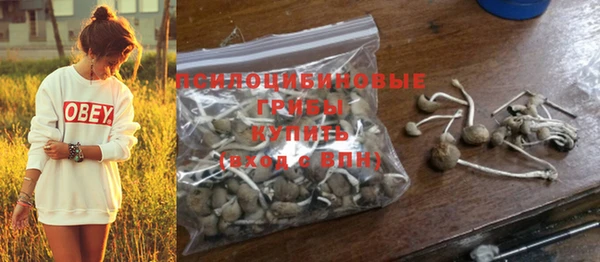 круглые Арсеньев